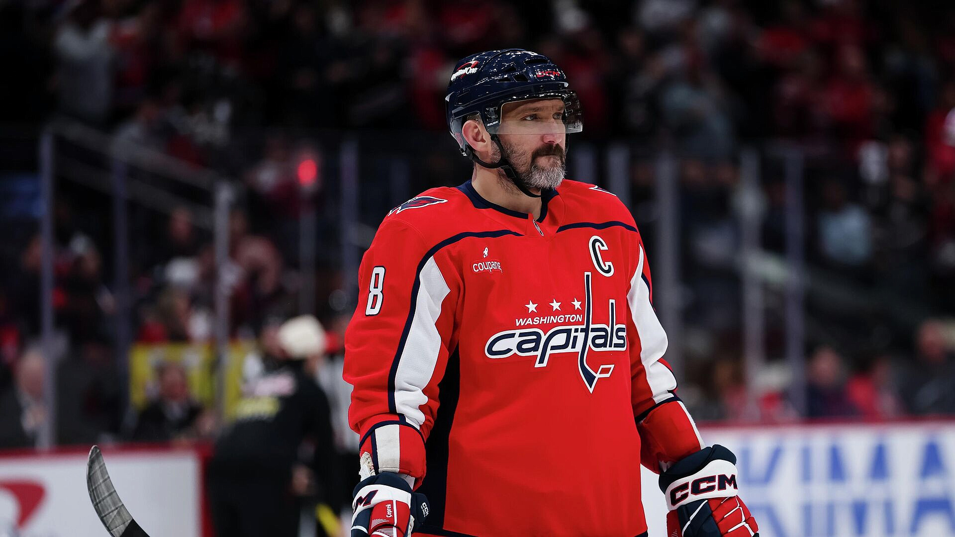 "���������" �������� "��������", ������� �� ����� � ������� ����� ������