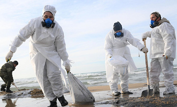 В Сириусе начали тестировать бактериальную очистку воды от мазута