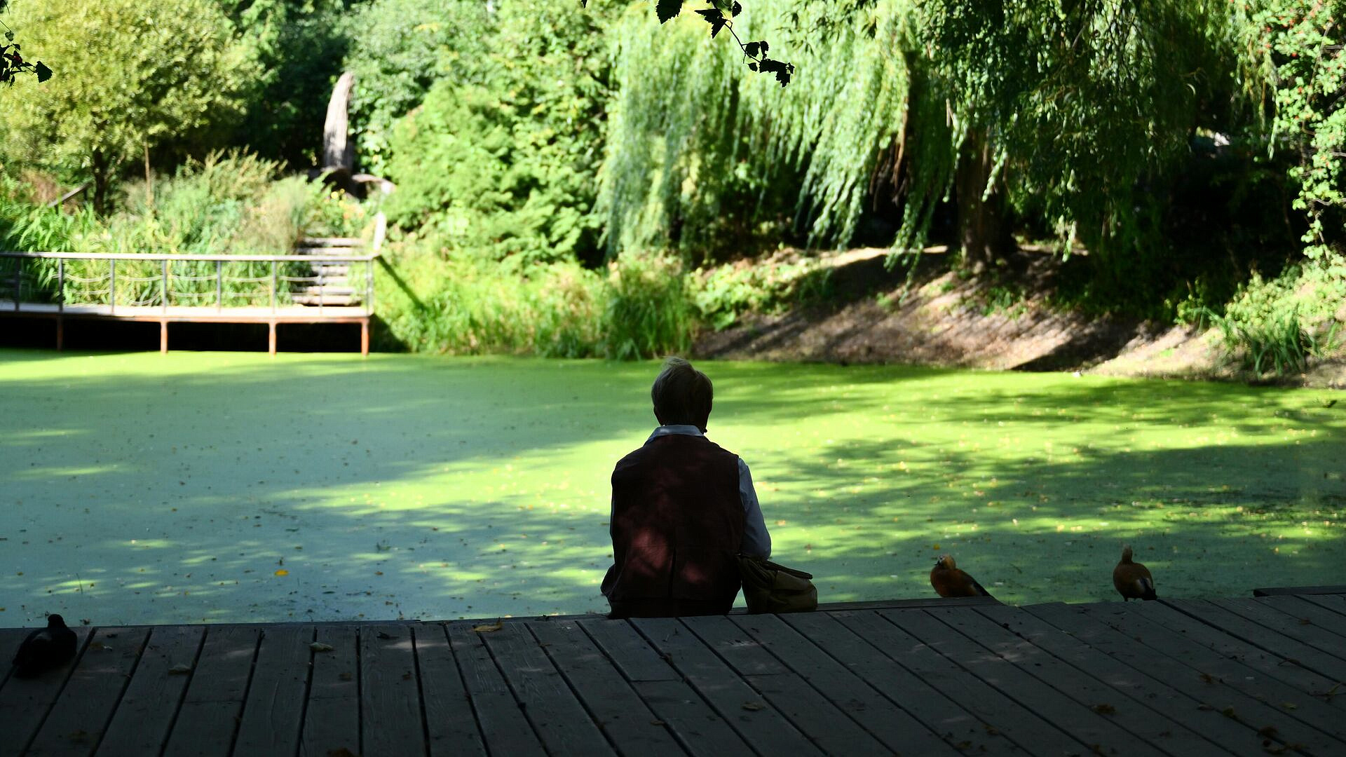 Вильфанд назвал прошедшее лето одним из самых жарких в России