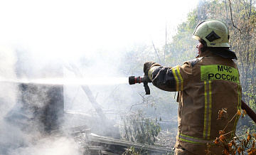 В Самарской области загорелся лес