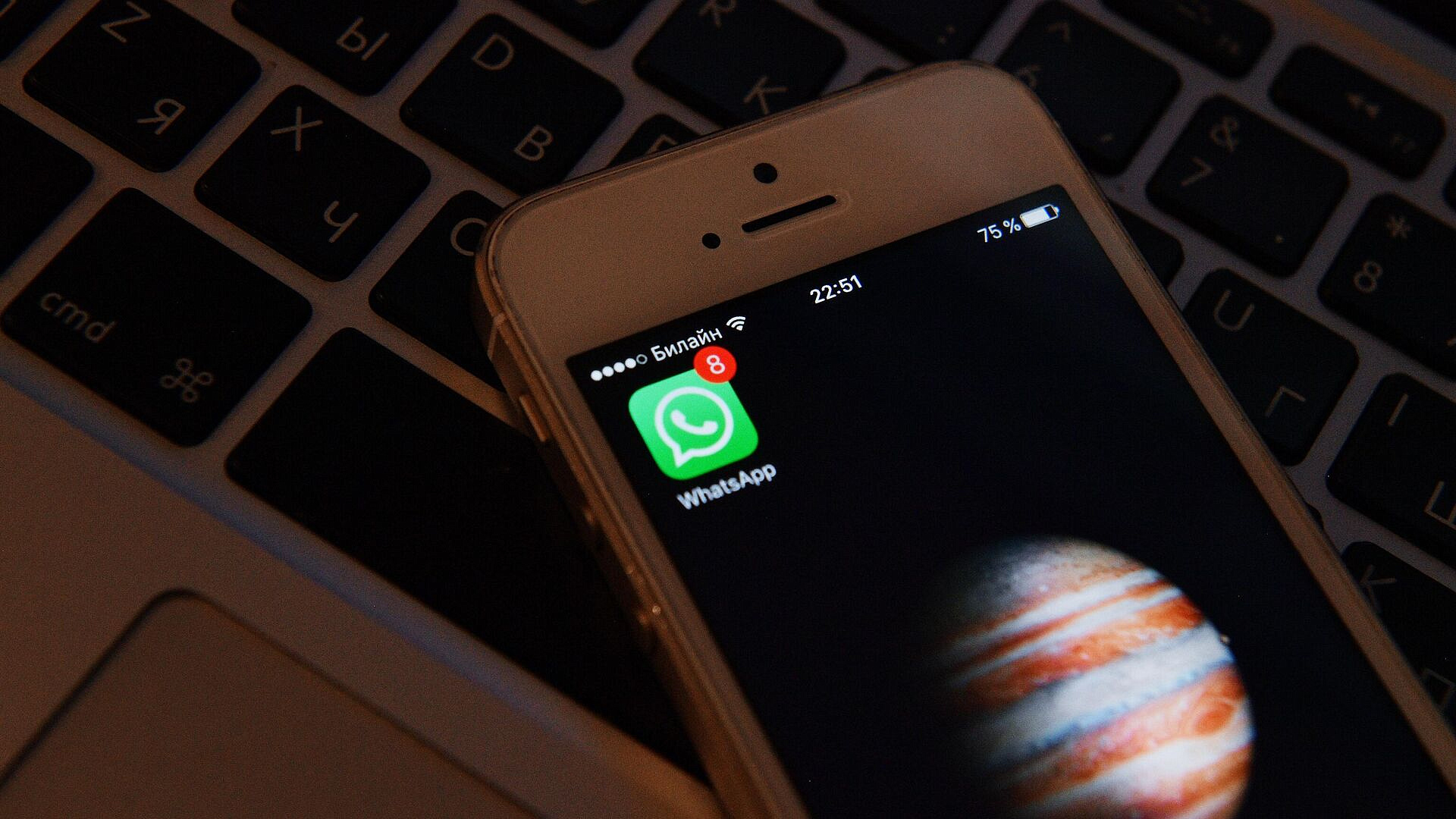 В Москве мошенники похитили у пенсионерки почти четыре миллиона рублей