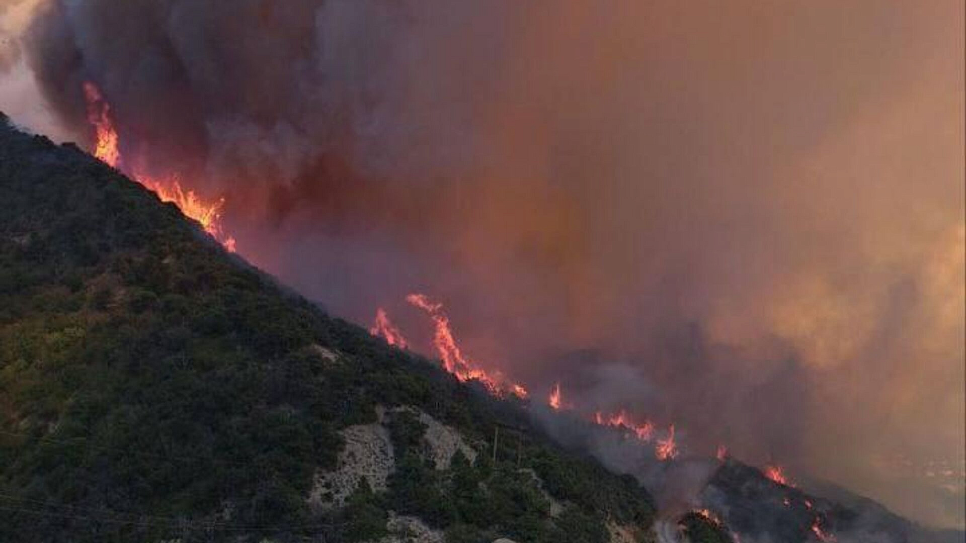 ������ ������������� ��������� ������������ ������ � �������� ������