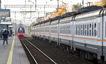 В Ленинградской области ищут собаку, забежавшую в электричку
