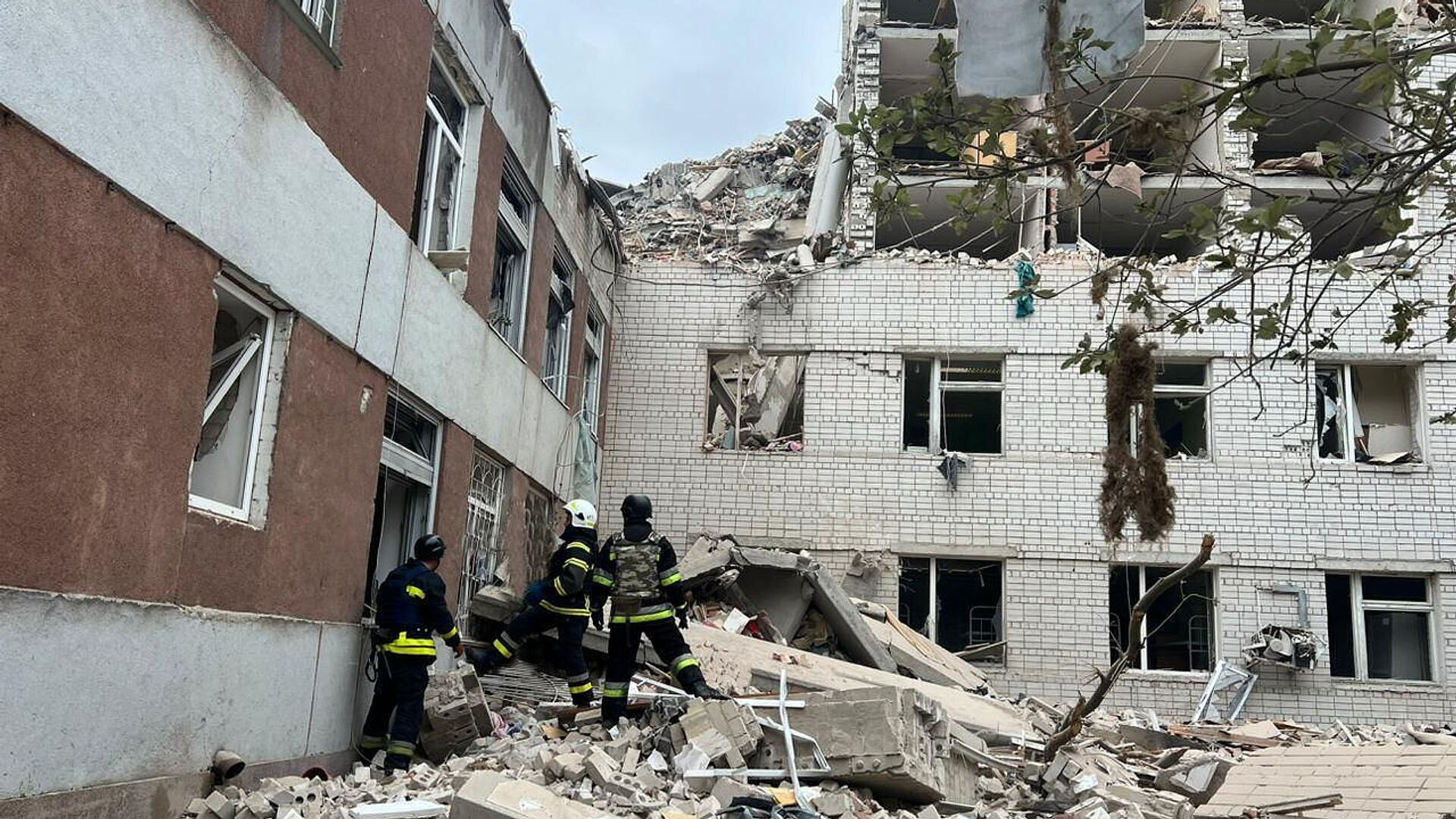 ���: ���������� ������� �������� ����� � ������� ������� � ���������