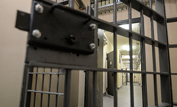 Жительница Ростовской области получила 13 лет колонии за госизмену