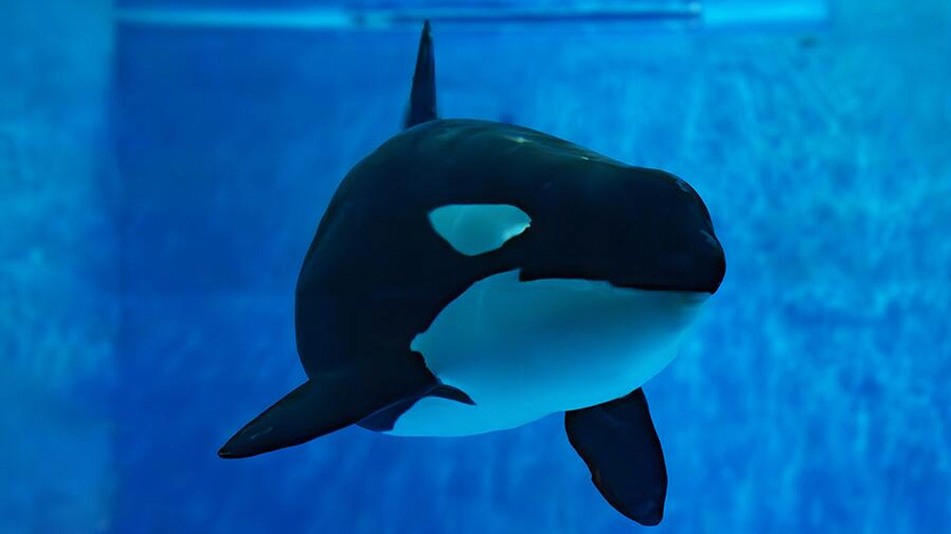 ������� ��� �� ����������� �����������, ��� ��� ��� ������� ��������� ����