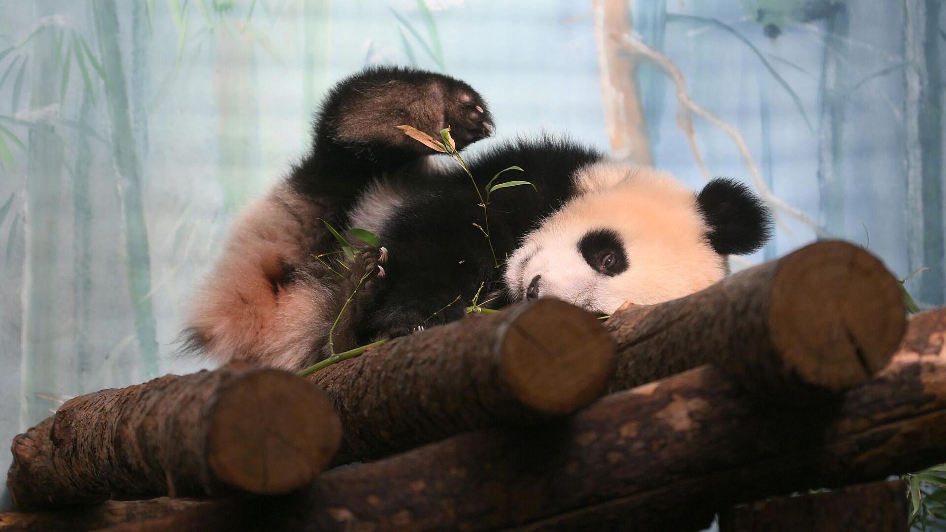 ����� ������ ������� ������������� � ����� ����� �������