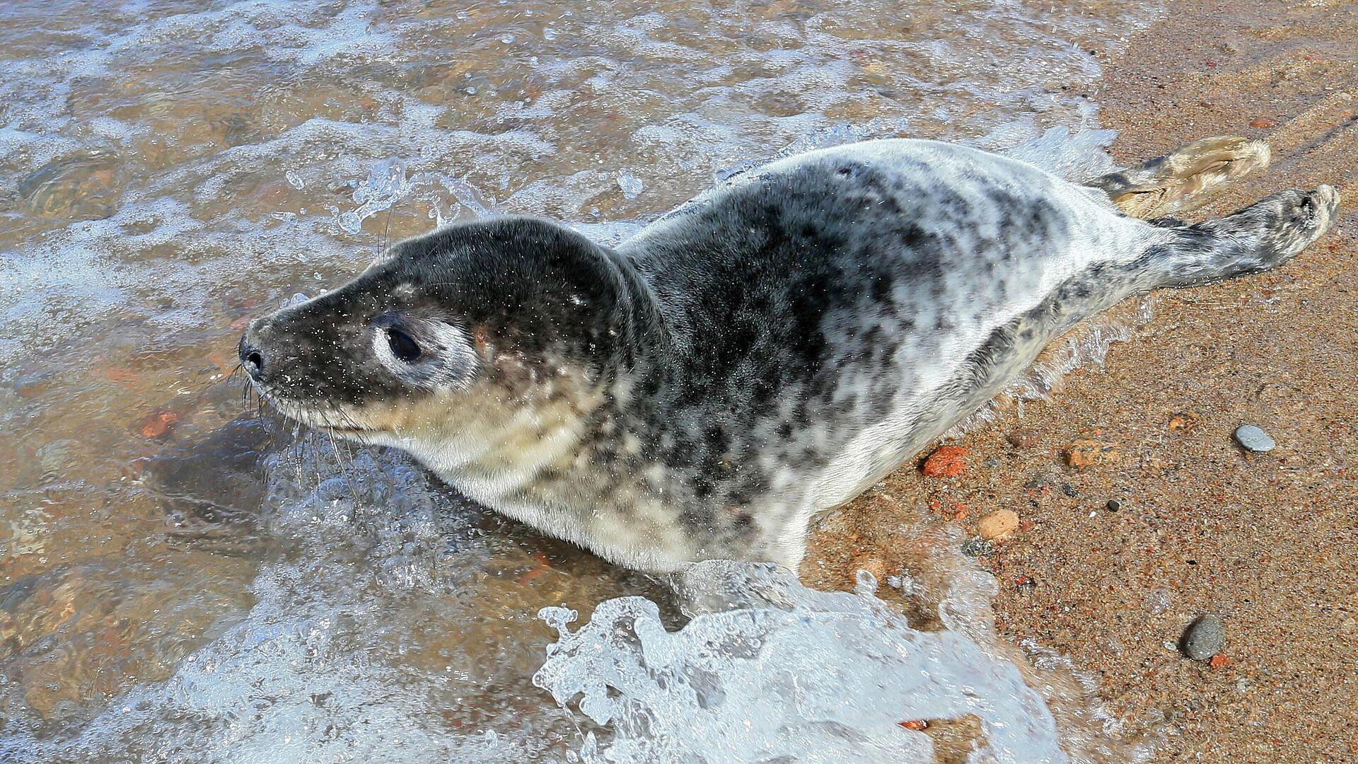 ��������� ����������, ������� ��������� ������� � ��������������� �������