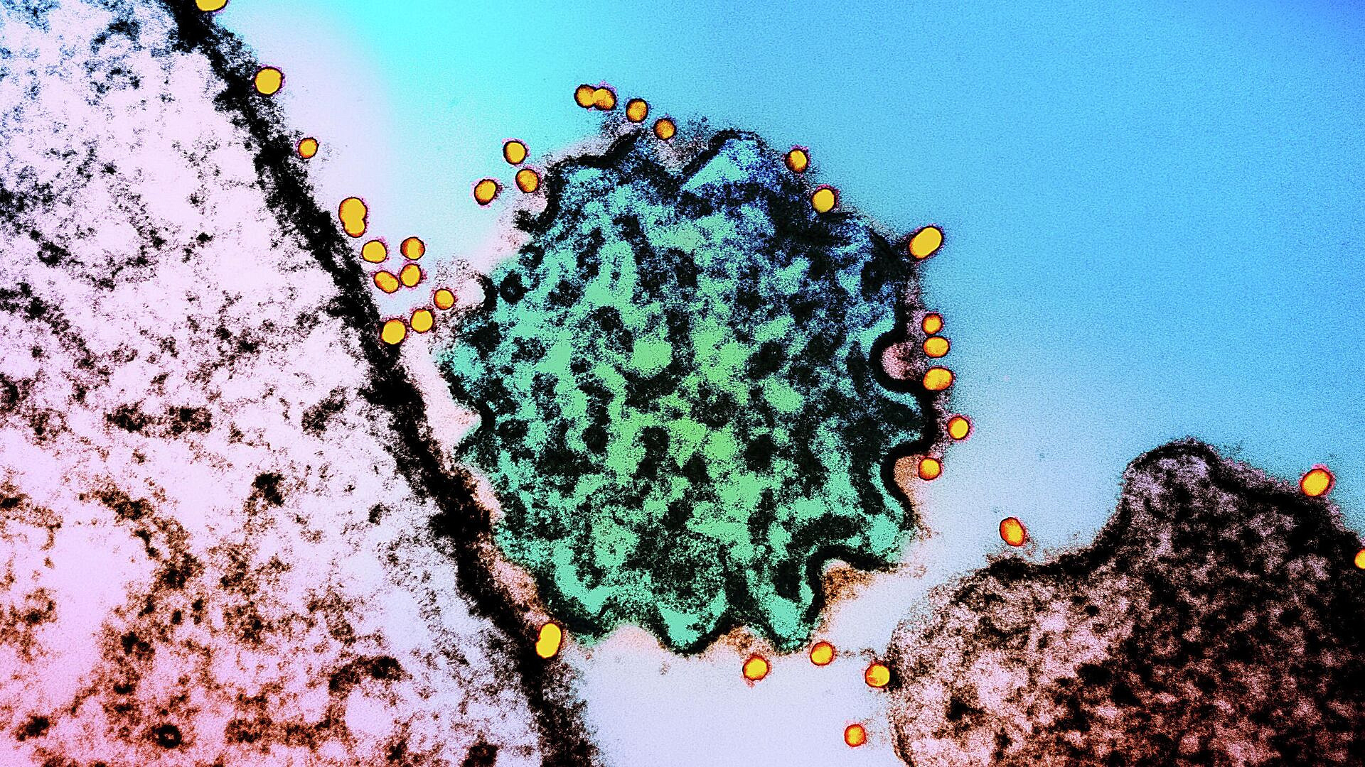 ��������� ���������� � ��������� ������ �����