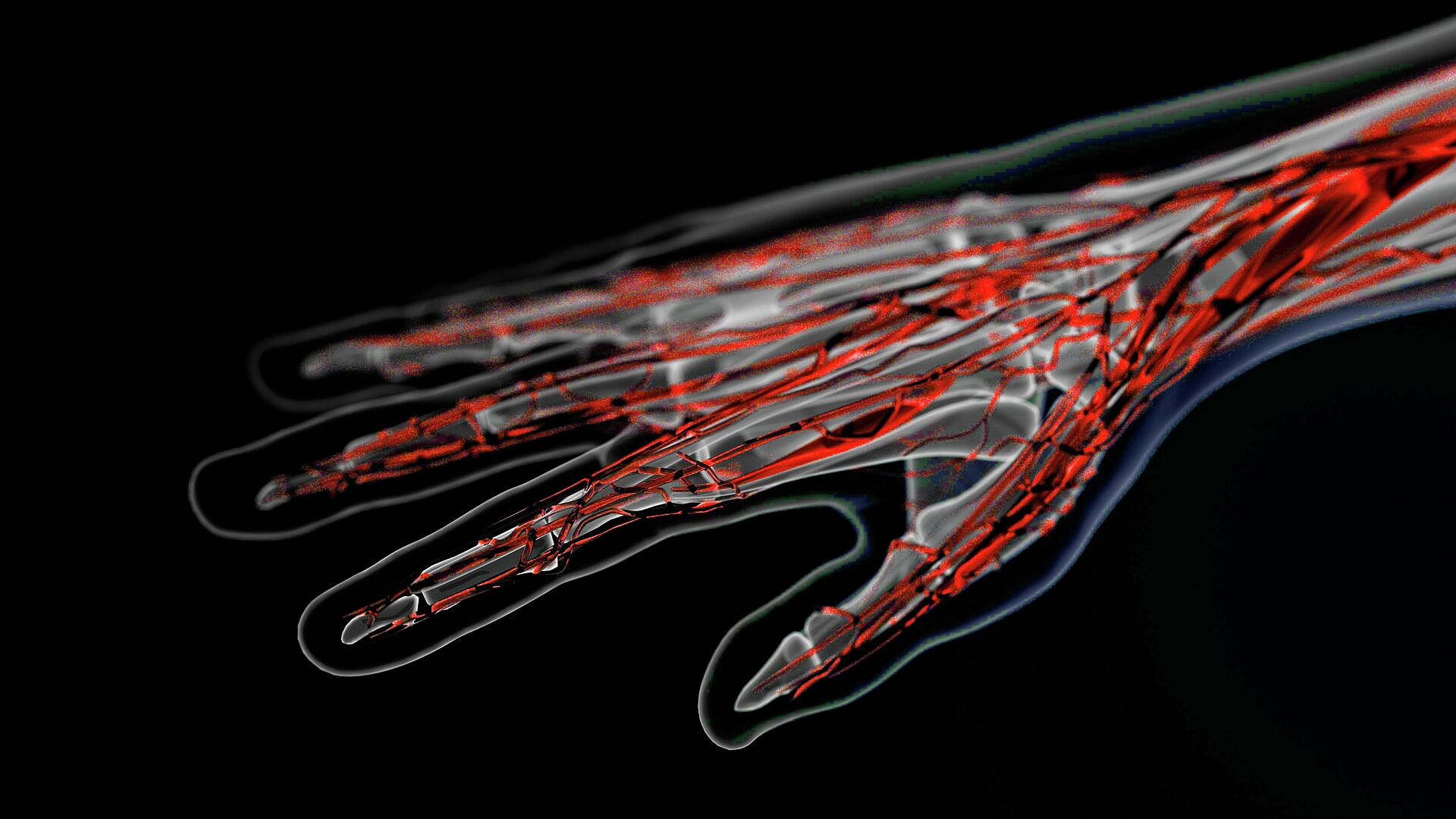 ��� �� ������. ��������� ������ ������, ��� ����� ������ ����