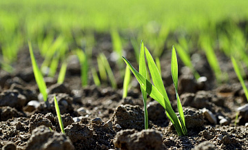 ���������� ������ ��������� ������ �� "�����������" �����