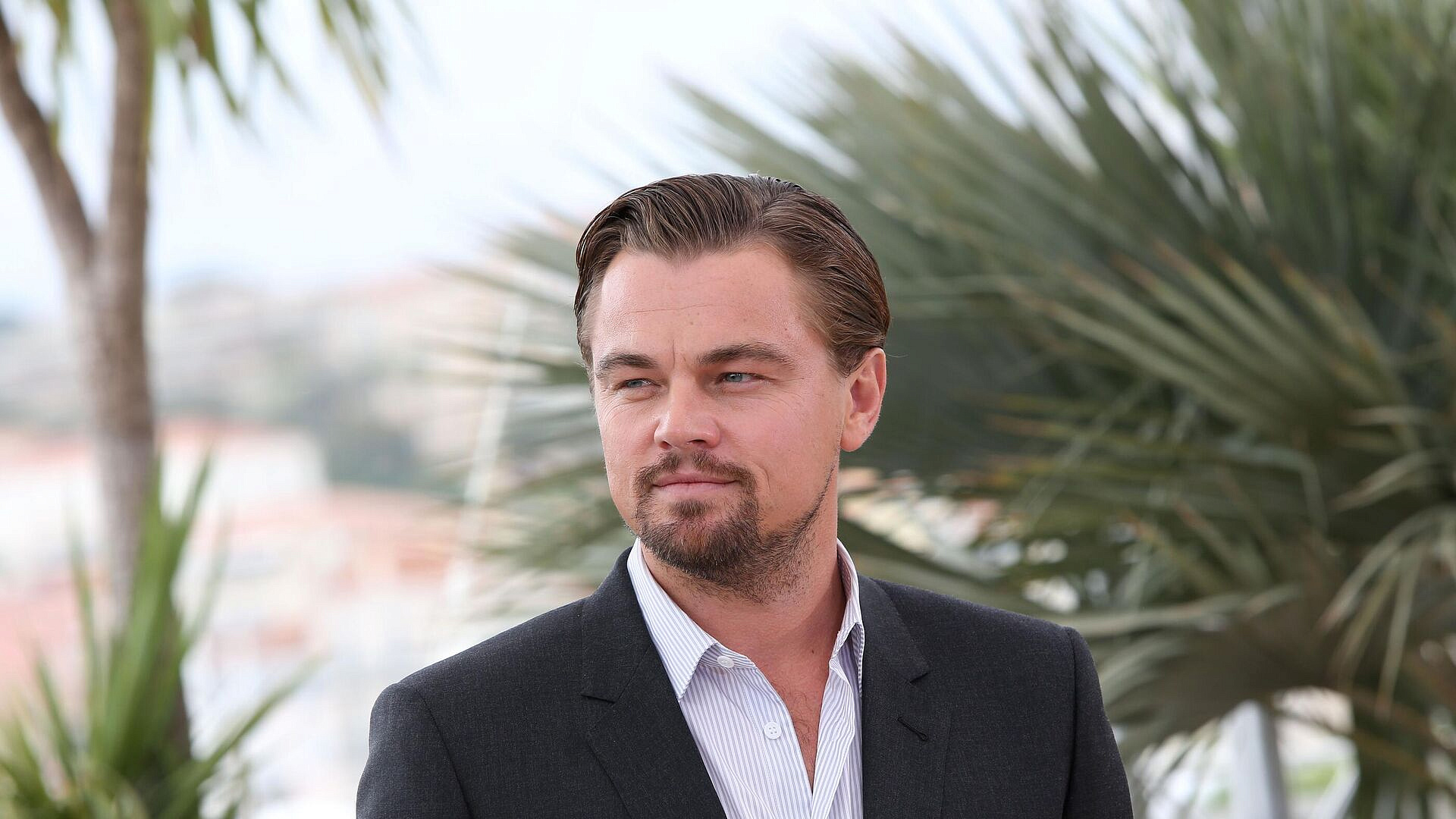 �������� �� ������ ������������ �� "�����" �� ���� � �/� "����� �� ������"