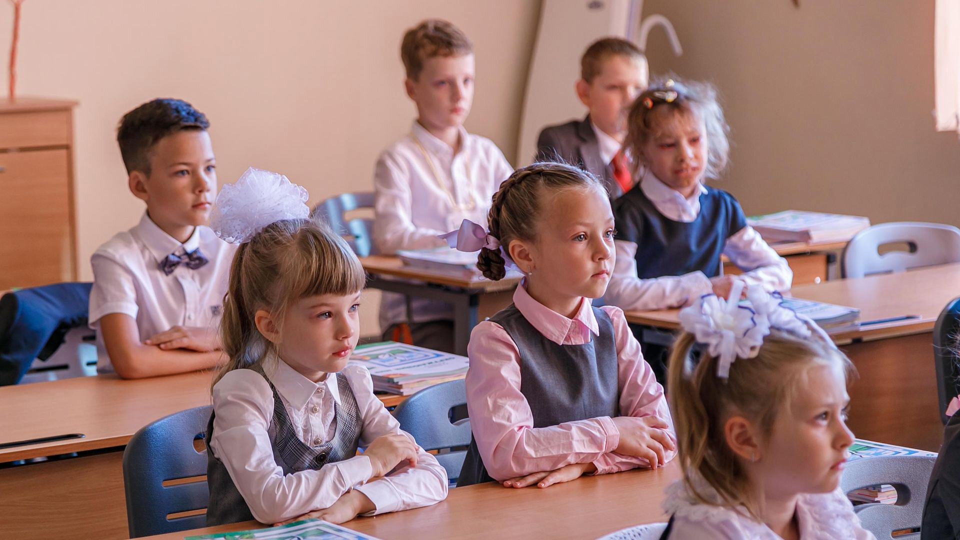 В Госдуме оценили эффективность уроков "Разговоры о важном"