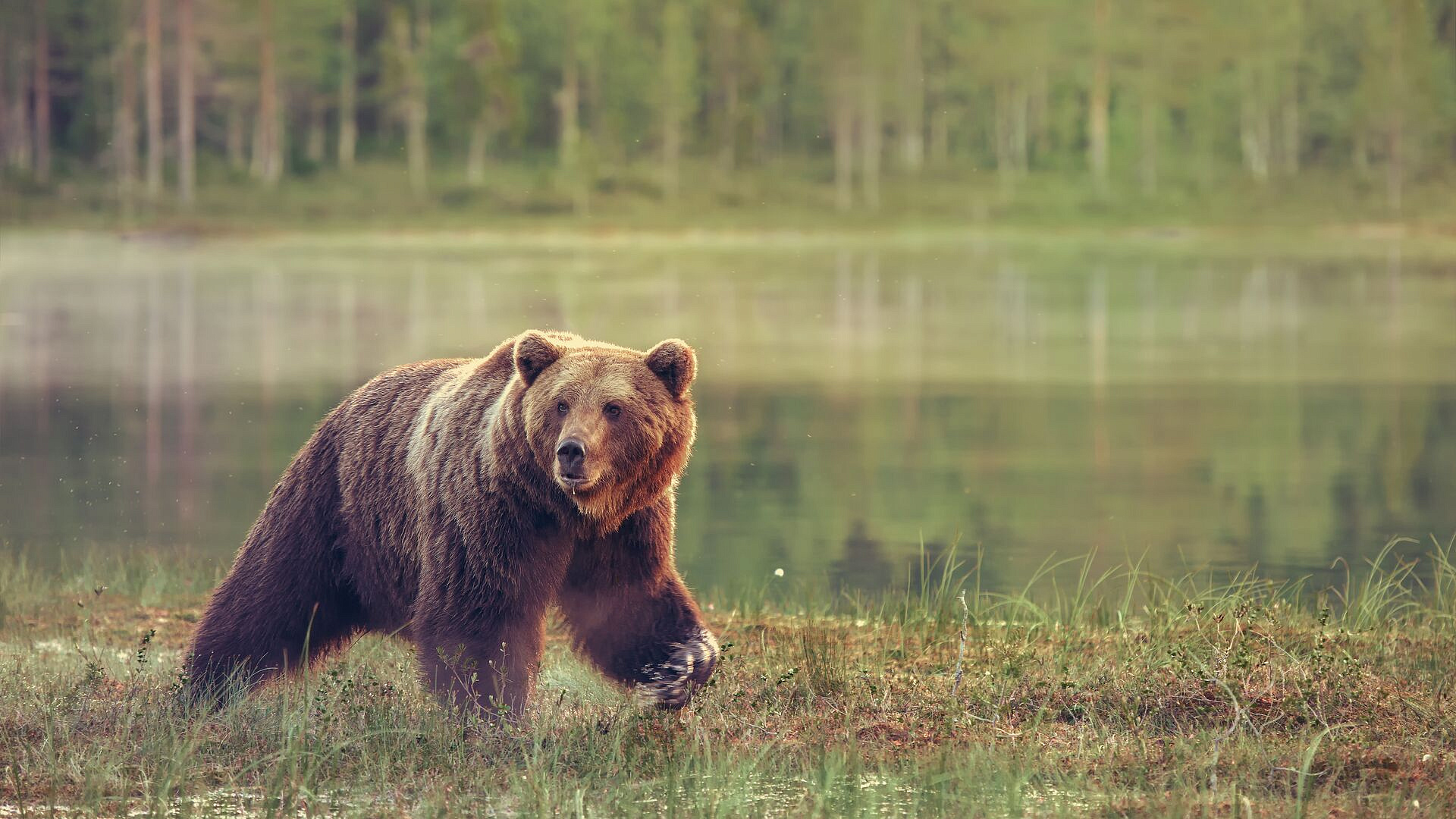 � ���������� ������� ���������� � ������ ����������