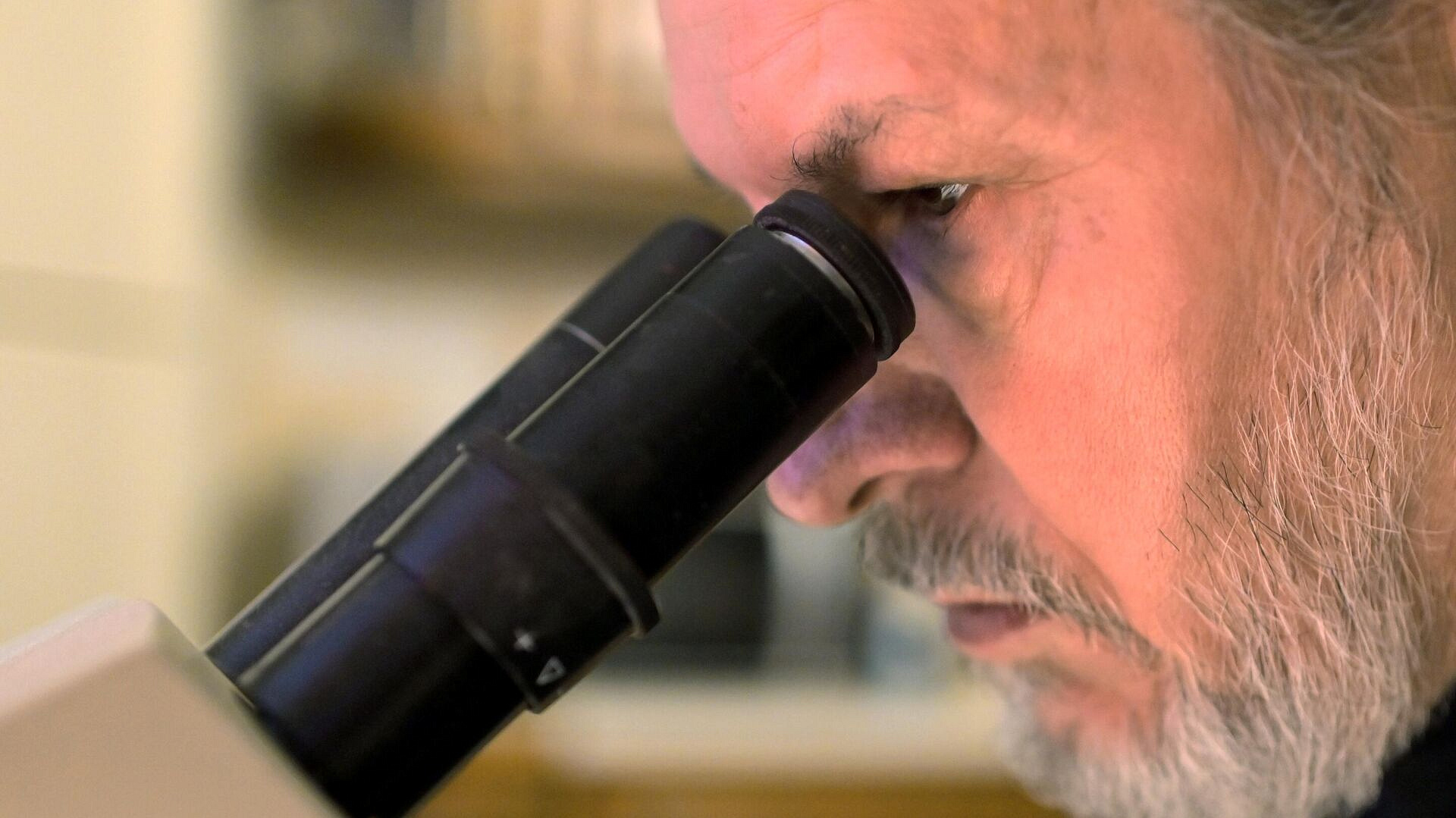 ������ ���������������� ����������������� ���������, ����������� �� �������