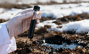 В Сибири создали новый способ оценки состояния почвы после аварий