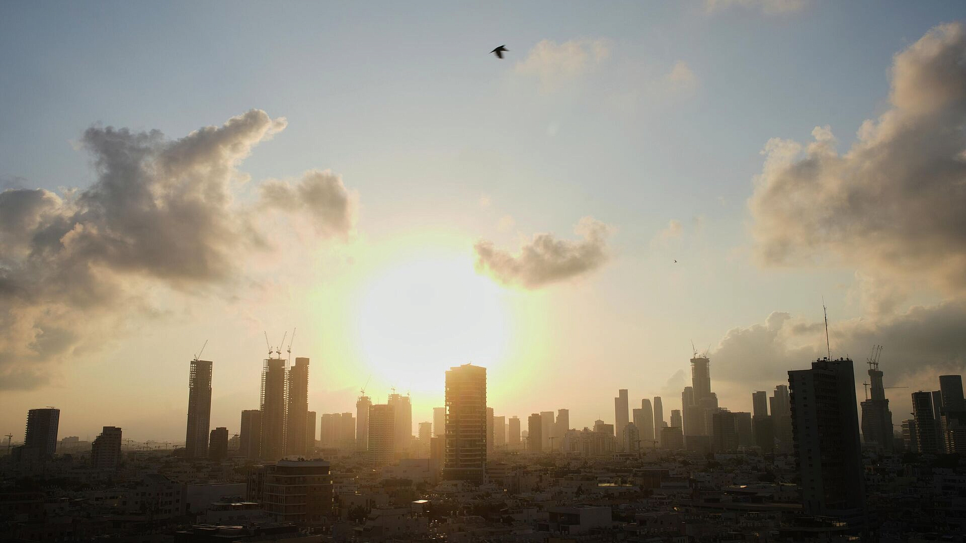 В Тель-Авиве перекрыли дороги из-за марафона по бегу