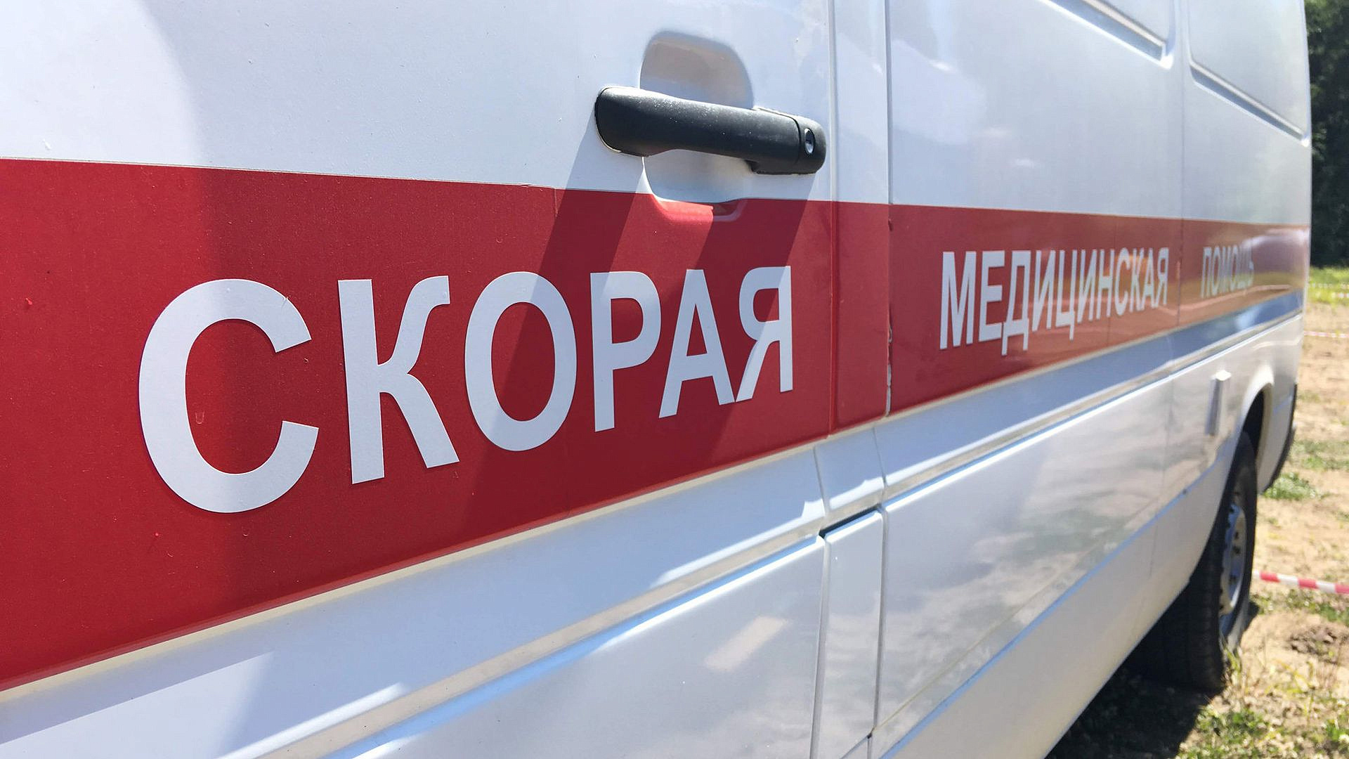 Подмосковные врачи спасли женщину, укушенную гадюкой