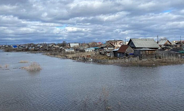 Село Каминское в Курганской области частично затоплено