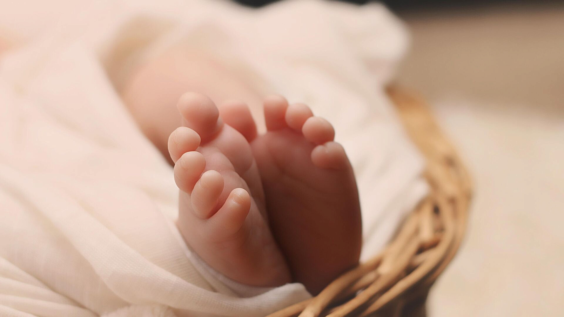 ������� ������ ��������� ������� ������ ��������� � ������������� �������