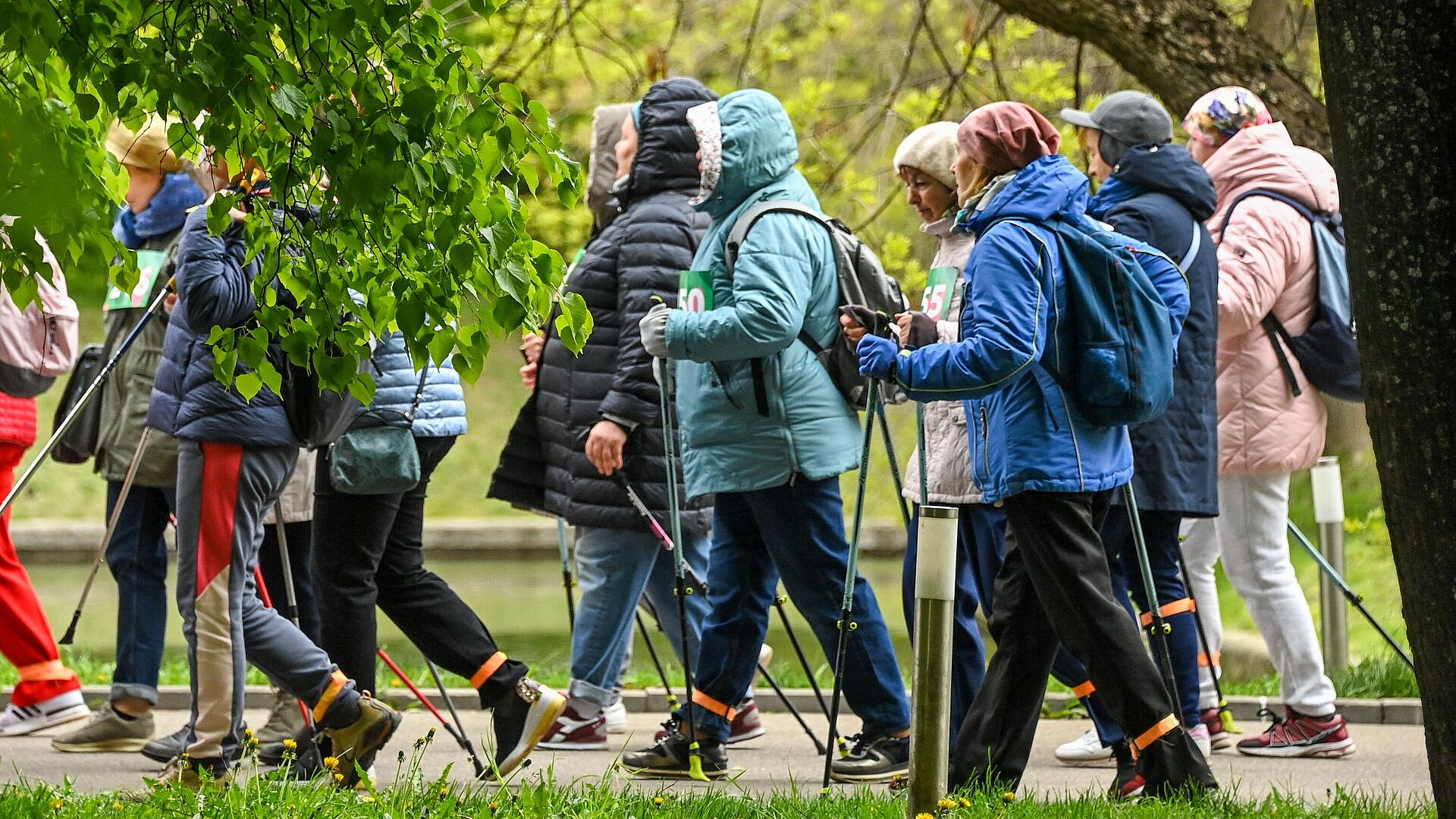 � ��������� ���������� � �������� �������� ��� ����� ���� ���������