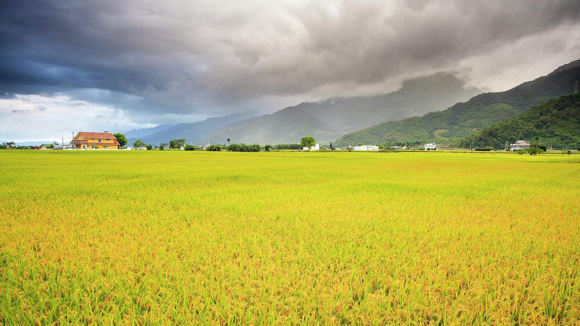 �� ������� ��������� ������������� ���������� �����