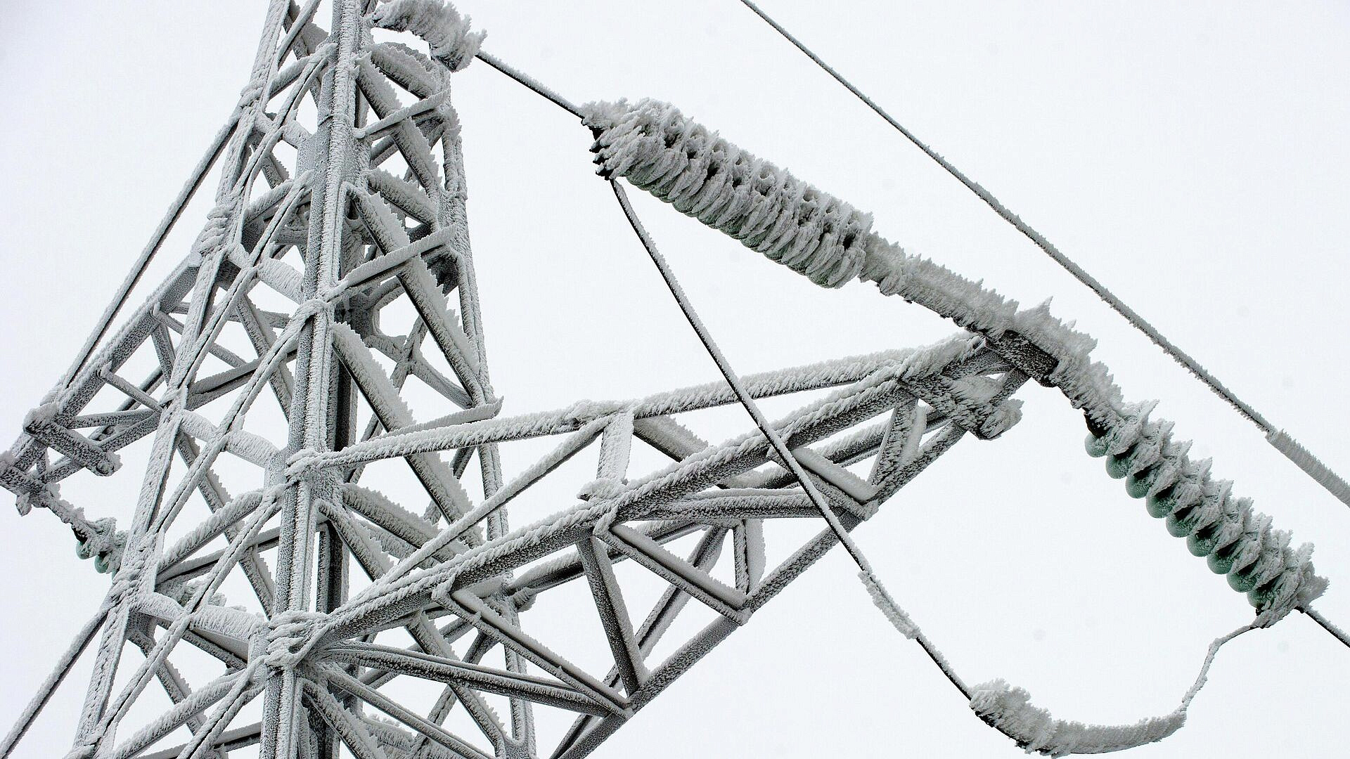 � ������������ ������� ������������ ������ ���������� ��� ����� ���������