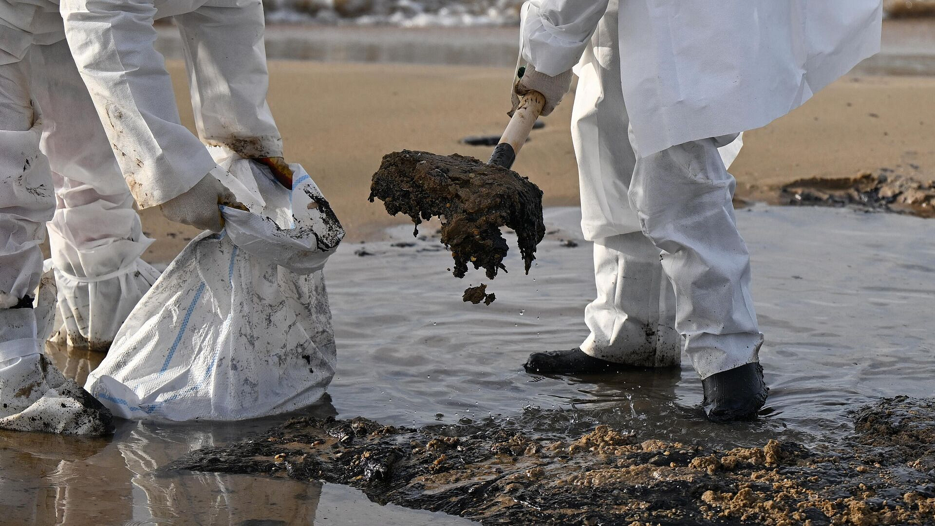 С побережья Кубани собрали около 70 тысяч тонн загрязненного грунта