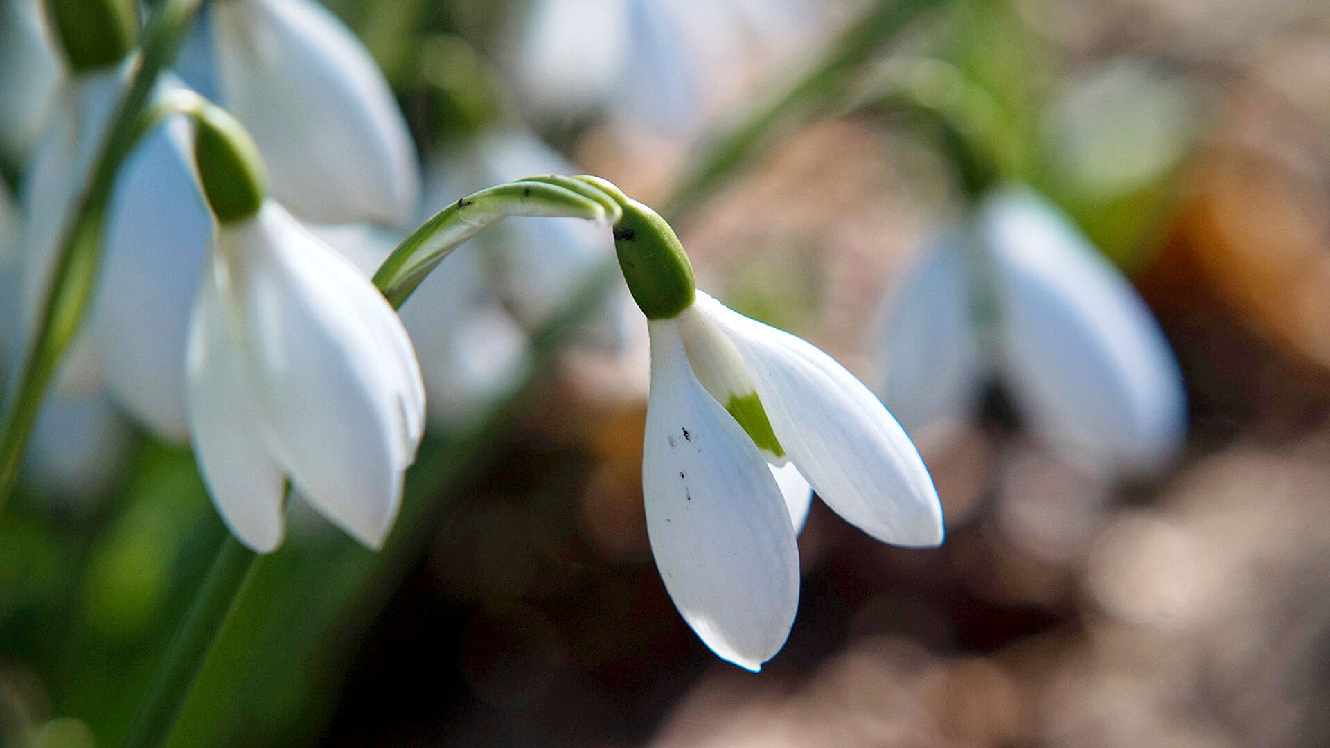 � ������ �� ���������� ������� ������ ����� 3,5 ������ ��������