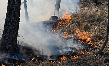 В России потушили 26 пожаров за сутки