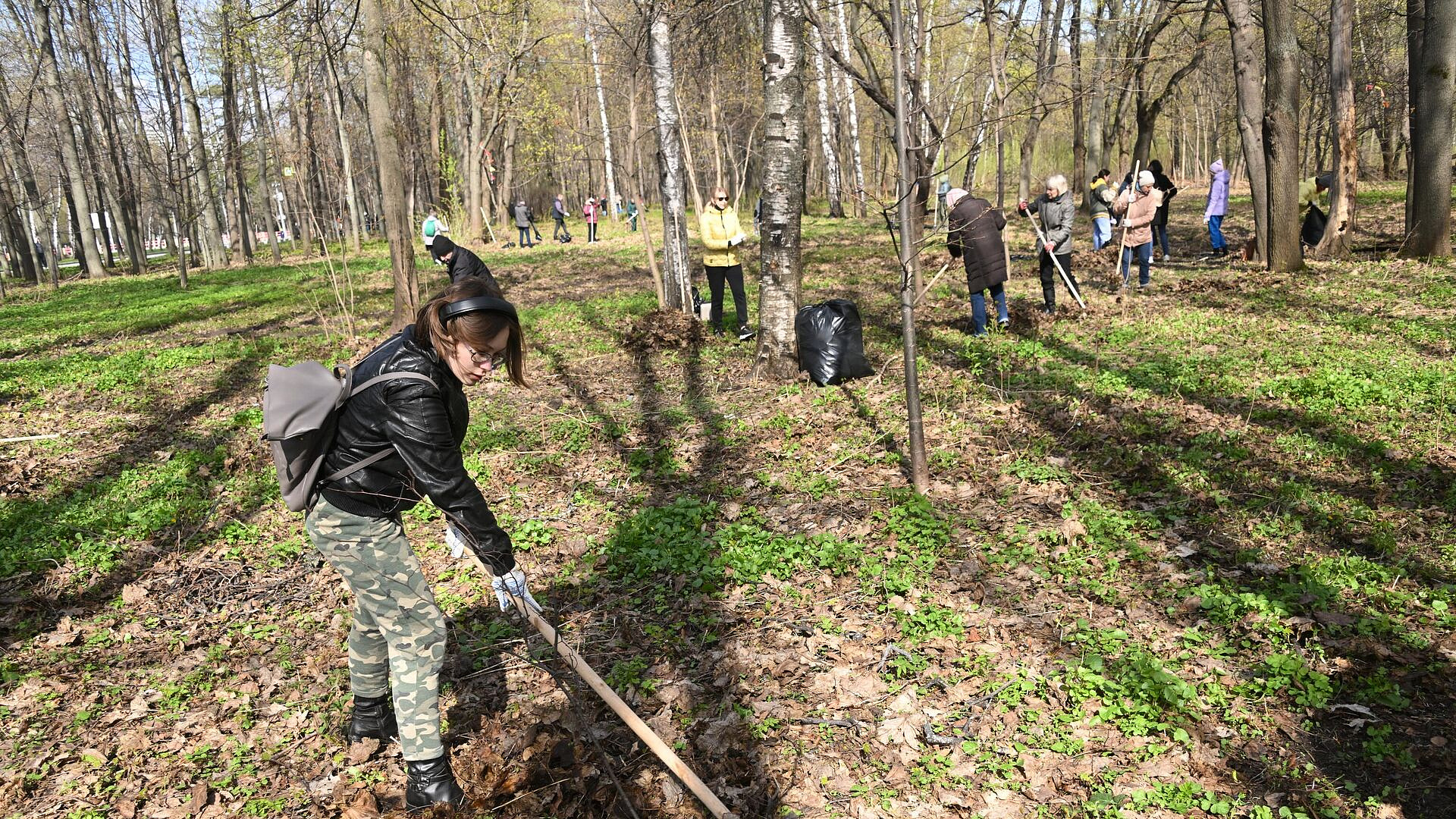 Субботник в Подмосковье охватит 67 природных зон 25 апреля