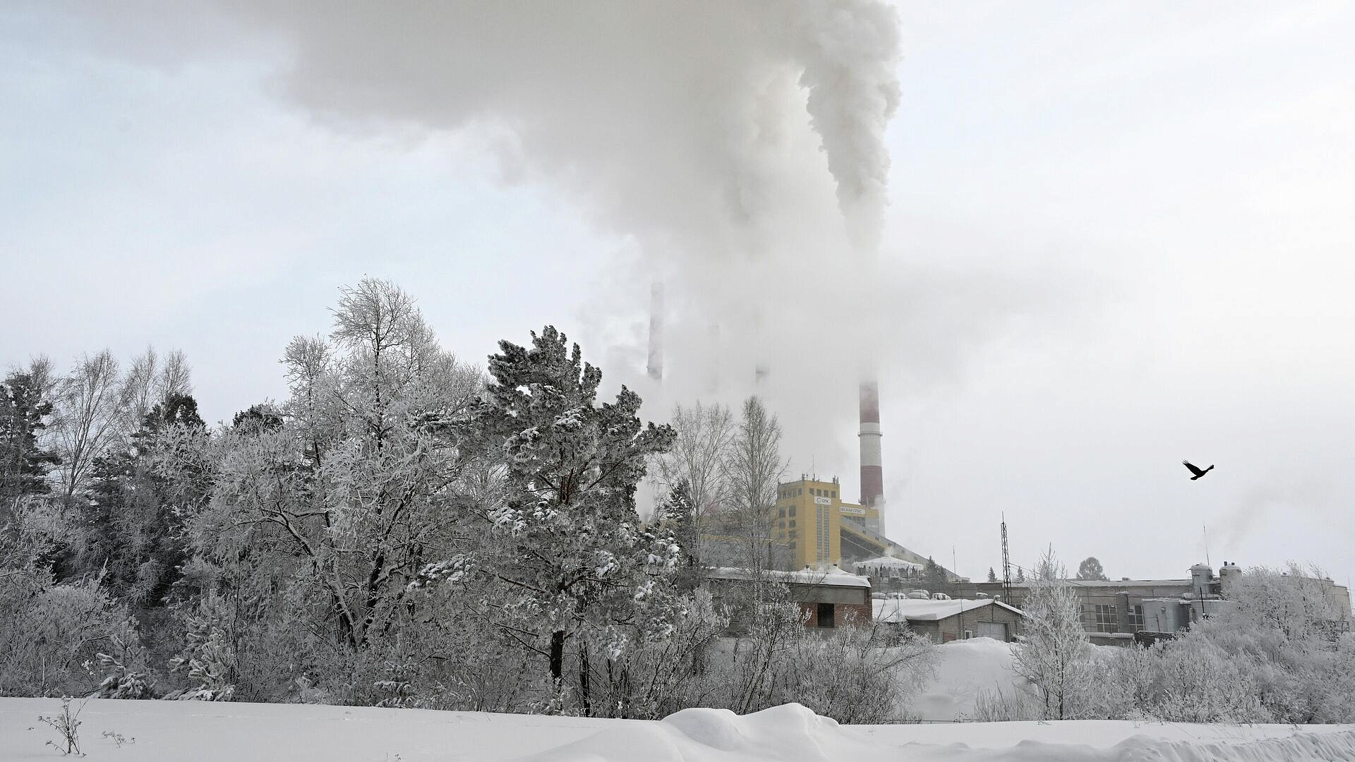 �� ���������� ���� ��������� ������ �� ����� ������