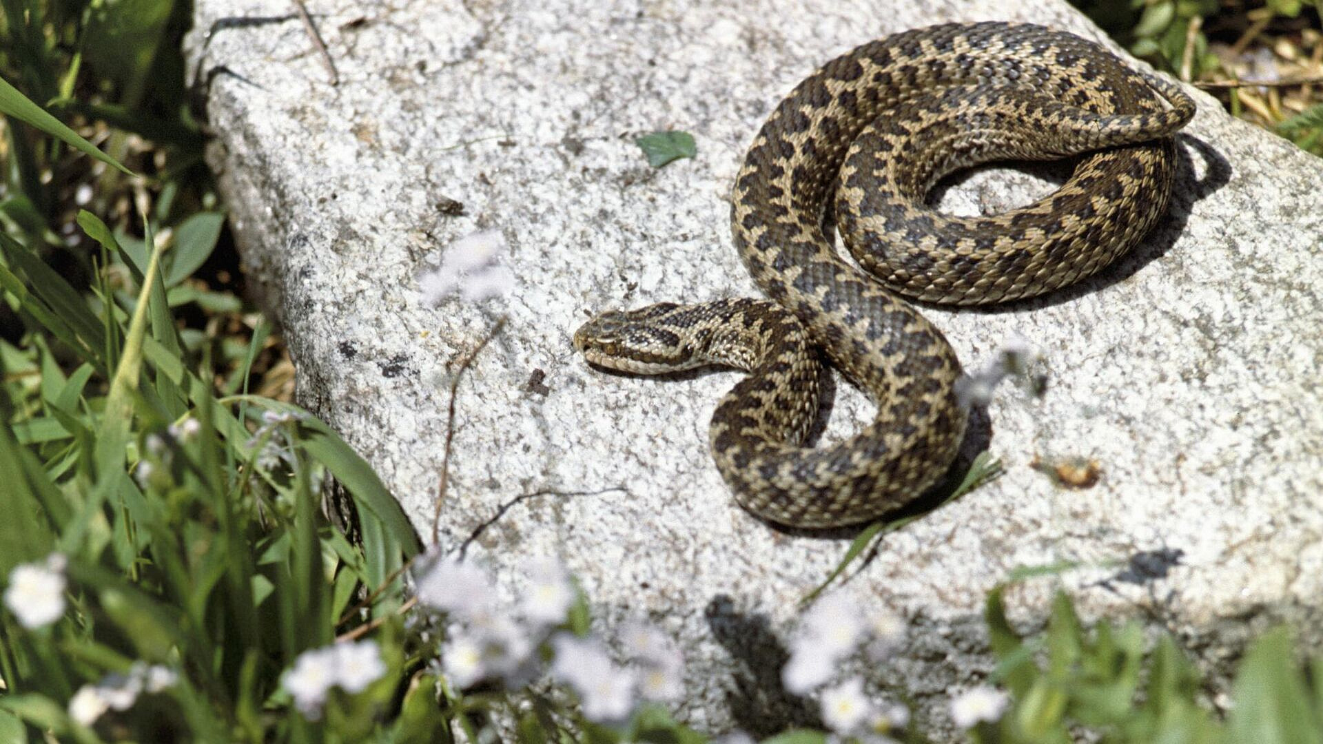 � ����������� ����������, ��� �������� ���� �� ������������ ��������