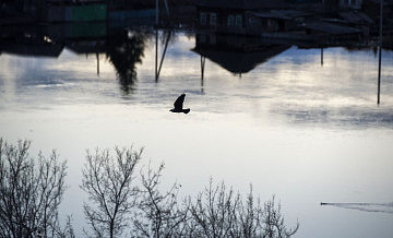 Паводок оставил без транспортного сообщения три села в Саратовской области