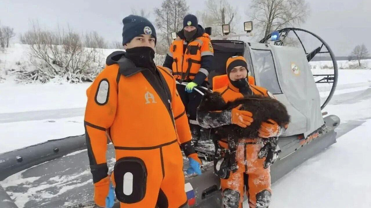 ����, ��������� � ����� � ��������, ���� ������� � �� ������ ��� ��������