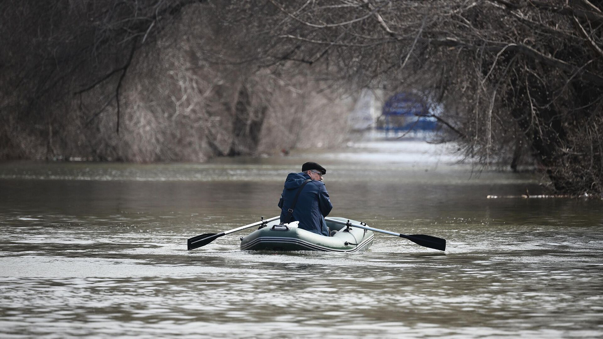 ���������� �������� ������� ����� � ����� ������������