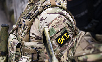 Женщина в Кургане написала 24 000 комментариев с призывами к терроризму