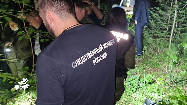 В Ульяновской области завели дело после исчезновения 12-летней девочки