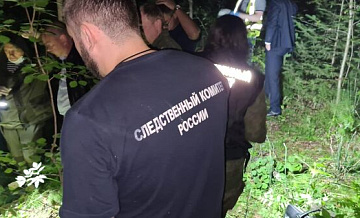 В Ульяновской области завели дело после исчезновения 12-летней девочки