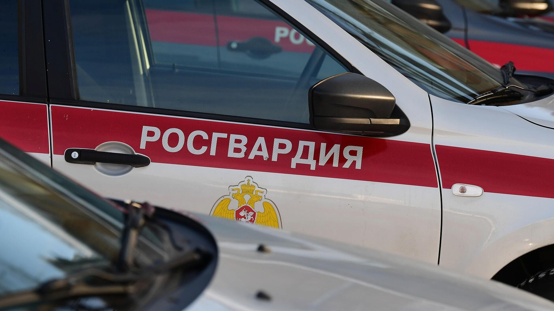 В Москве росгвардейцы спасли курьера, оказавшегося на дереве В Москве росгвардейцы спасли курьера, оказавшегося на дереве