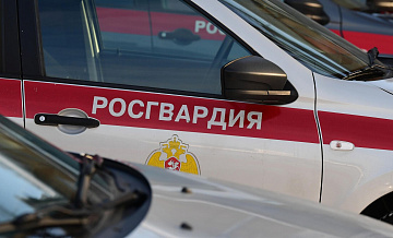 В Москве росгвардейцы спасли курьера, оказавшегося на дереве