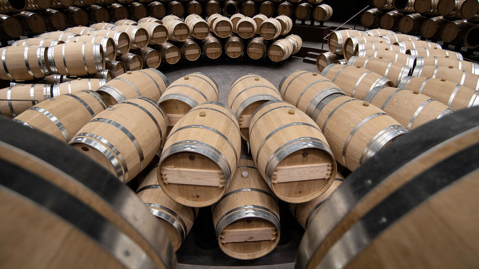 �������� �������� �������� ������� �� ���� ���� �� ����� ���� � ������