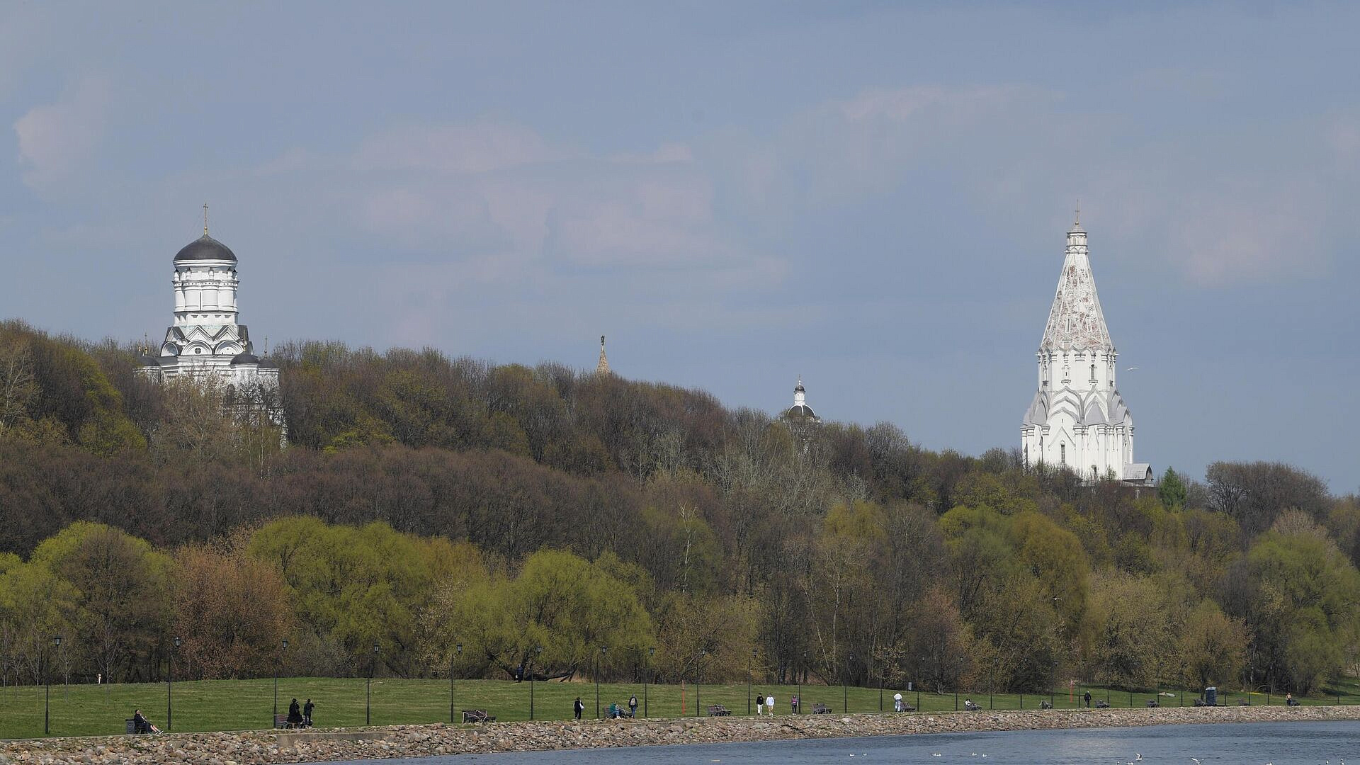 ���� ������������� �������� �� ���������� �����-����������� "�����������"