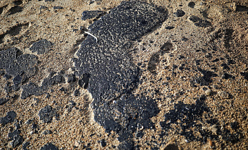 Пятна мазута продолжают обнаруживать на пляжах Севастополя