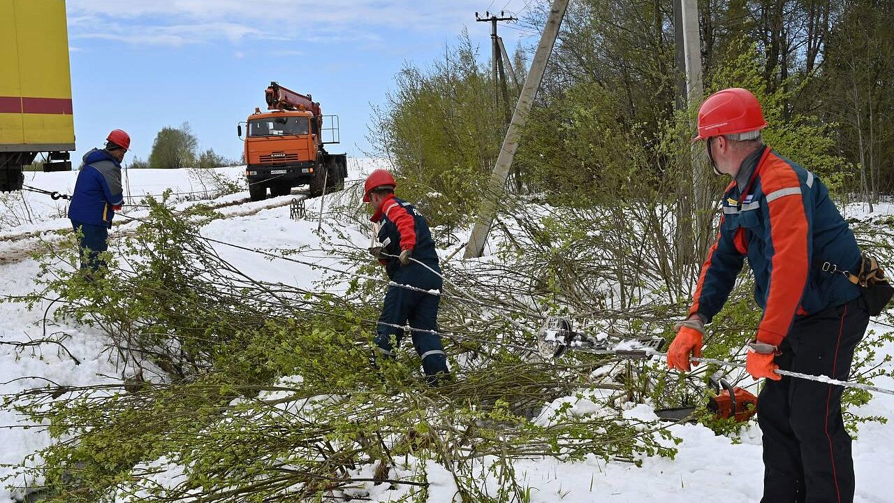 � ����������� �������� ����������� �������� � ������� ������ 2011 ����