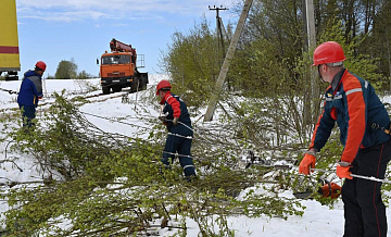 В Подмосковье сравнили последствия непогоды с ледяным дождем 2011 года