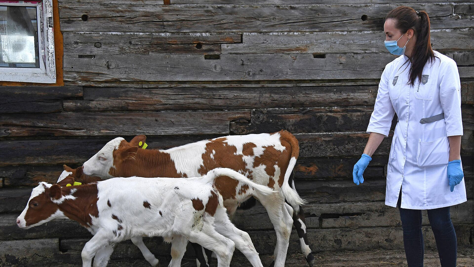 ���������� ��������� � �������� � ������������� �����������