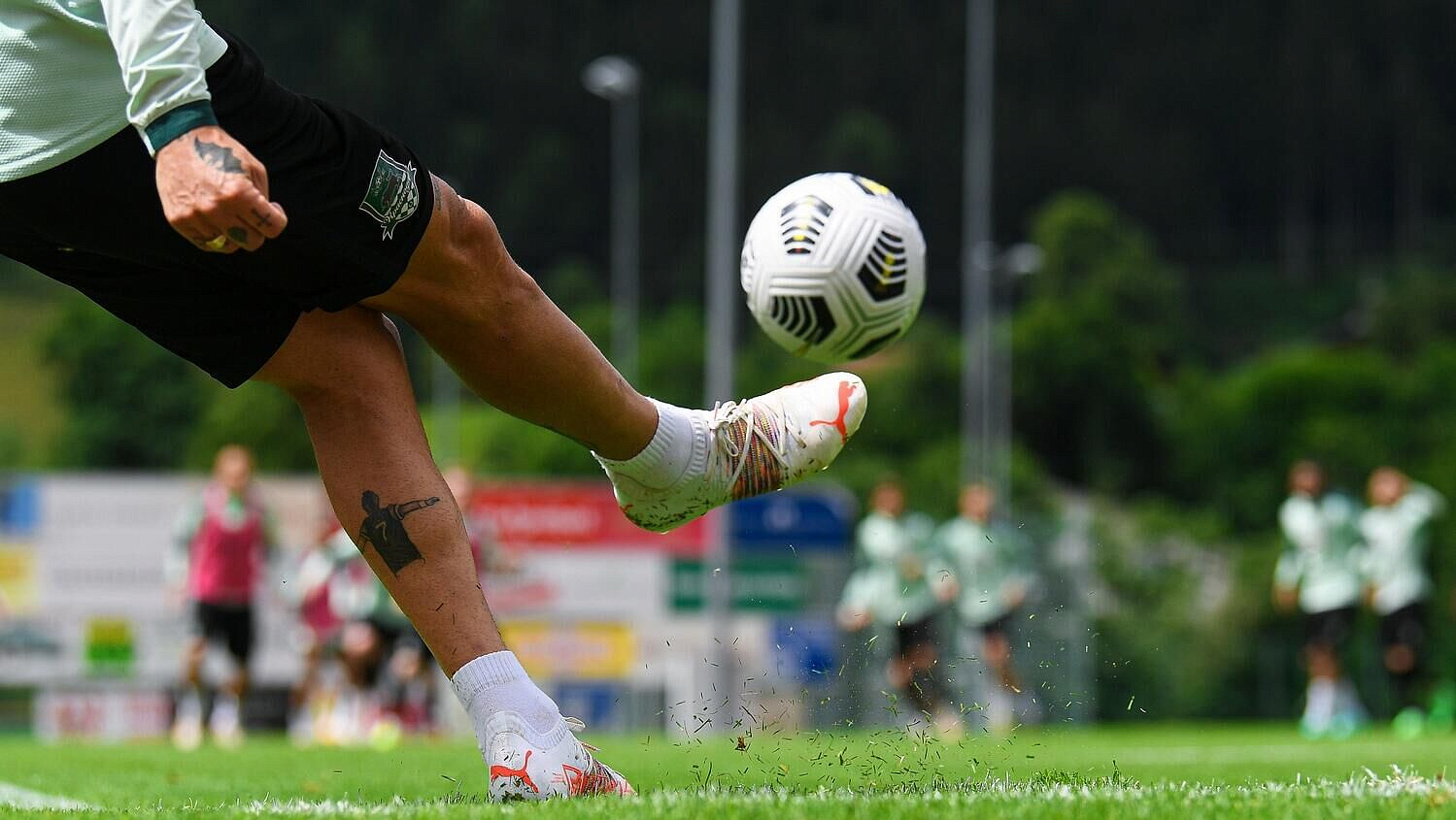 "������" ������� "���������" � "����� ������ �����"