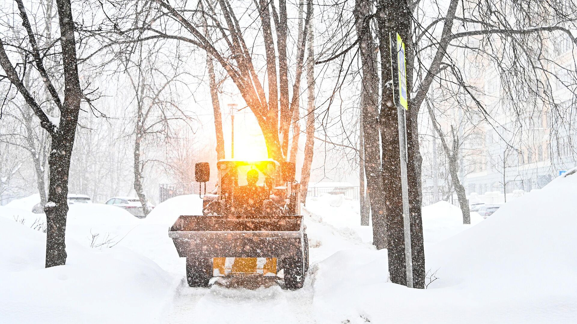 � ������ ������ �� ��������� ������� ����������, ������� ��������