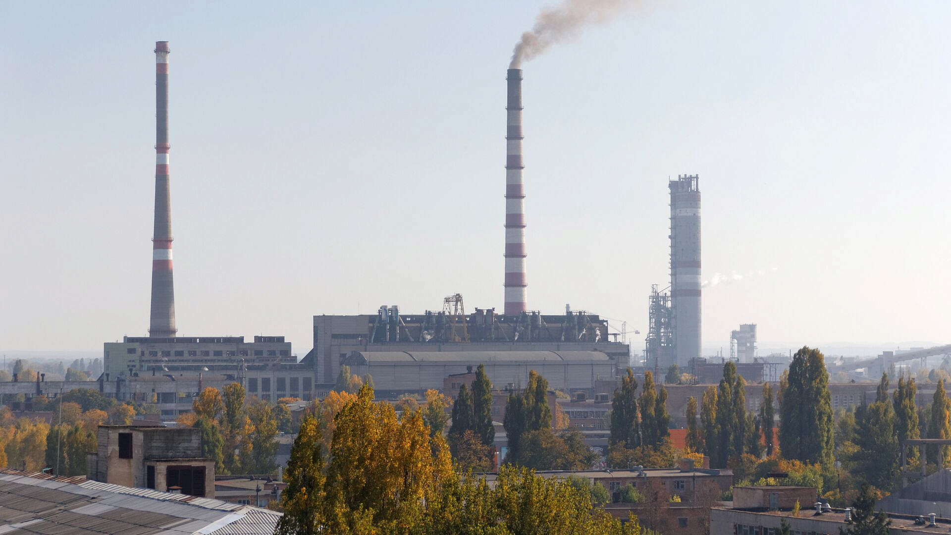 �� ������� ��������� ��������� ������� �� ���������